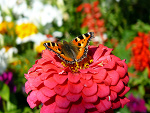 Fotoblog szymsze87