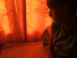 Fotoblog komarowa