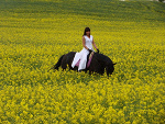 Fotoblog nady