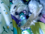 Fotoblog maaaciuuusss