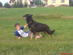 Fotoblog asdfghjklpoiuytrewq