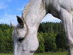 Fotoblog wydziergana