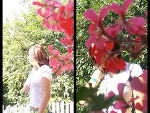 Fotoblog creeamys
