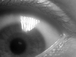 Fotoblog watter