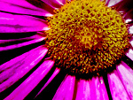 Fotoblog xxxmilluniaxxx