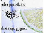 Fotoblog brzozka101