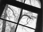 Fotoblog ilovesomethinginyou