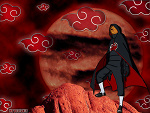 Fotoblog ogrodowasquad