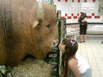 Fotoblog natalqsxd