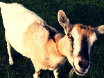 Fotoblog dusia1