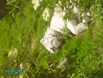Fotoblog lovekam11