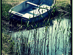 Fotoblog monetek