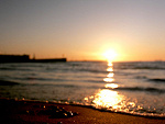 Fotoblog xplasticisfantasticx