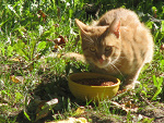 Fotoblog muzykoholik