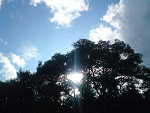 Fotoblog martiniosworld