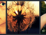 Fotoblog amongthestars