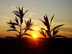 Fotoblog aga93d