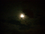 Fotoblog xxshadyxx