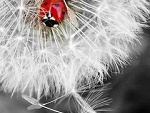 Fotoblog xxkolorowemarzeniaxx