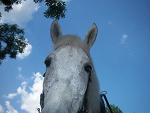 Fotoblog nnnnadussss