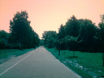 Fotoblog sekta1
