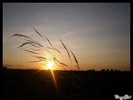 Fotoblog crazygirl52