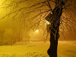 Fotoblog deelightt