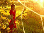 Fotoblog obsesjonxd