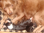 Fotoblog hubert122