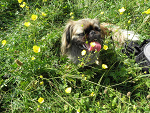 Fotoblog maalinowaamambaa
