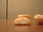 Fotoblog obcyptak