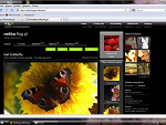 Fotoblog netkastg