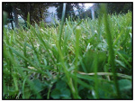 Fotoblog jknm