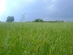 Fotoblog westen