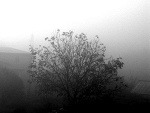 Fotoblog monotonnie
