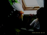 Fotoblog jadziaxd511