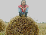 Fotoblog sralala