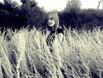 Fotoblog noloveme