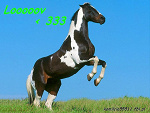 Fotoblog kamilcia55511
