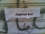 Fotoblog djerzet