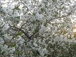 Fotoblog aleres