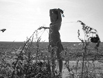 Fotoblog intheshadow