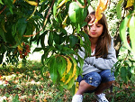 Fotoblog berry5
