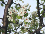 Fotoblog latajacacytryna1