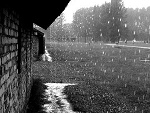 Fotoblog butterfly999