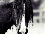 Fotoblog xxxx4ever