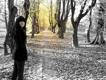 Fotoblog asbutterfly