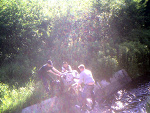 Fotoblog cygitargi