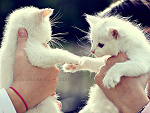 Fotoblog t0x1cd0lly