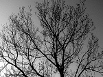 Fotoblog rancour